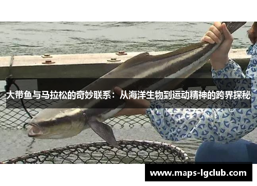 大带鱼与马拉松的奇妙联系：从海洋生物到运动精神的跨界探秘