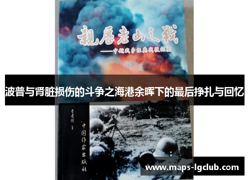 波普与肾脏损伤的斗争之海港余晖下的最后挣扎与回忆