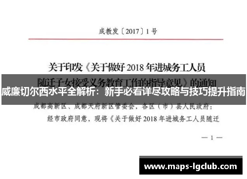 威廉切尔西水平全解析：新手必看详尽攻略与技巧提升指南