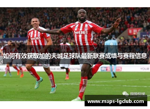 如何有效获取加的夫城足球队最新联赛成绩与赛程信息