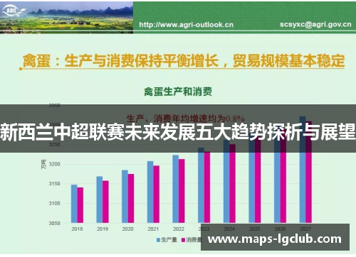 新西兰中超联赛未来发展五大趋势探析与展望