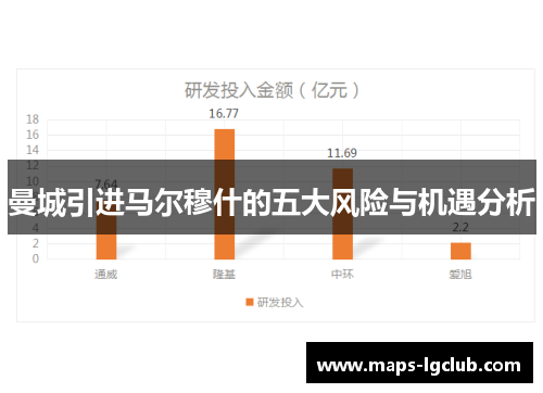曼城引进马尔穆什的五大风险与机遇分析